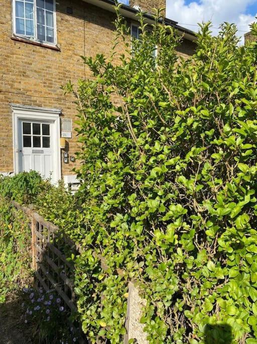 One Bedroom Putney Village Flat Лондон Экстерьер фото